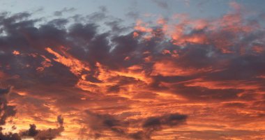 Florida semalarında gün batımının güzel kırmızı arka planı
