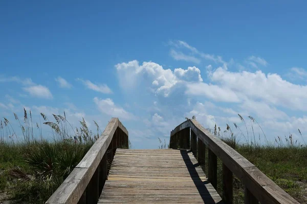 Trä Väg Till Stranden Florida Naturlig Blå Himmel Bakgrund — Stockfoto