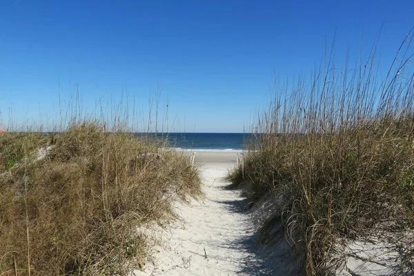 Bella Vista Sulle Dune Sull Oceano Sulla Spiaggia Della Florida — Foto Stock