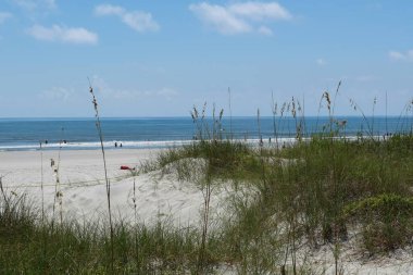 Sand dunes and ocean view on Florida beach