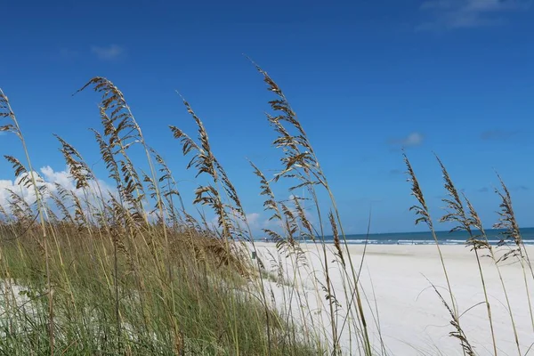 Sand dunes and beautiful clouds view on Florida beach
