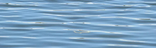 佛罗里达河上平静平静的蓝水作为背景 — 图库照片