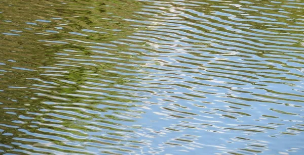 Гладкая Спокойная Синяя Вода Фоне Реки Флориды — стоковое фото