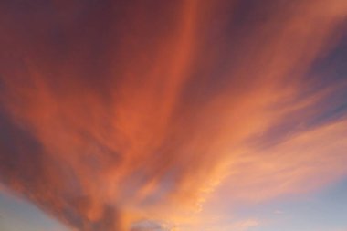 Florida doğasında güzel turuncu alevli günbatımı arka planı