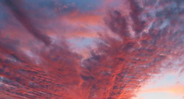 Güzel, kırmızı, bordo, günbatımı arka plan, gökyüzündeki alev...