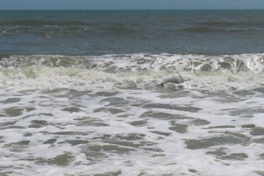 Kuzey Florida 'nın Atlantik kıyısındaki okyanus suları