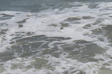 Kuzey Florida 'nın Atlantik kıyısındaki okyanus suları