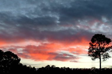 Kuzey Florida doğasında güzel turuncu gün batımı 