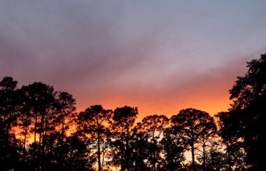 Kuzey Florida doğasında güzel turuncu gün batımı 