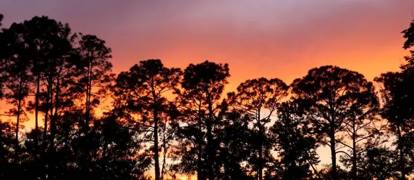 Kuzey Florida 'da güzel turuncu gün batımı, panoramik manzara