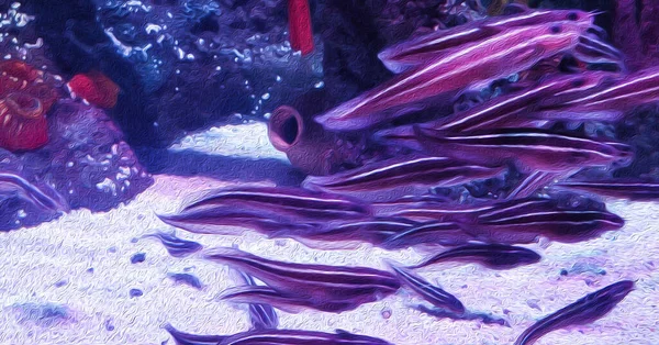 Akvarium Bakgrund Fisk Och Maneter — Stockfoto