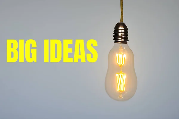 big ideas hanging bulb