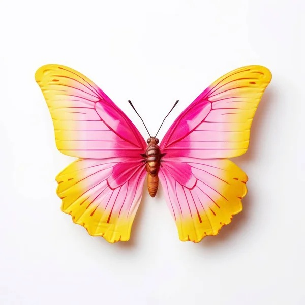 Butterfly White Background — Stock Photo, Image
