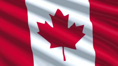 Kanada bayrak, yakın çekim