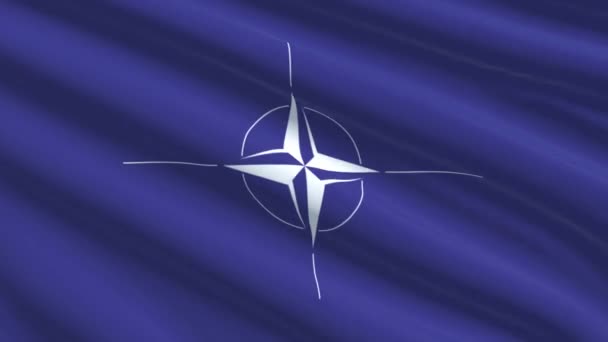 Nato Bayrağı Rüzgarda — Stok video