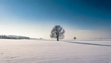 Lonely tree, simple winter landscape photo, reflection and daylight clipart