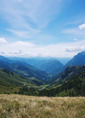  Mobil ekran ve telefon için doğa ekran koruyucusu.