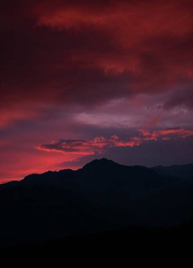  Mobil ekran ve telefon için doğa ekran koruyucusu.