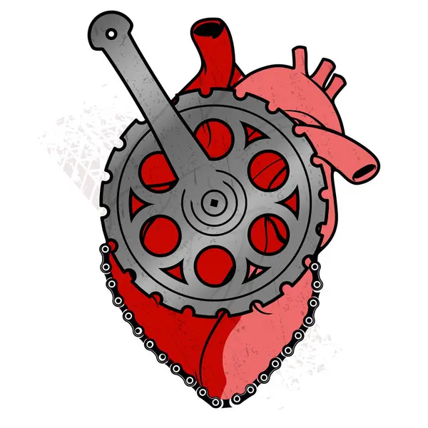 Kalp, anatomik kalp, bisiklet, bisikletçi, aşk konsepti, aşk bisikleti, illüstrasyon, vektör.