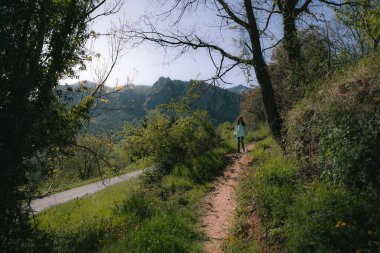 Dağ ormanlarında yürüyen genç bir kadın. Güzel manzara senaryosu. Büyük başarı. Uzayı kopyala Yüksek kalite fotoğraf