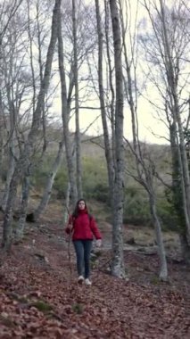 Latin bir kadın ormanda yürüyüş yapıyor ve kameraya gülümsüyor. Dikey kopyalama alanı. Yüksek kaliteli FullHD görüntüler