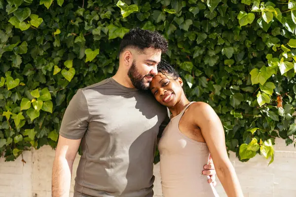 Romantik dansçılar güneşli bir günde sarmaşık duvarının yanında kucaklaşırlar.