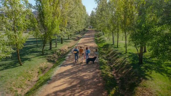 Aile piknik sepeti ve köpekle yolda yürüyor.