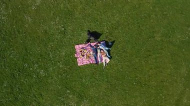 Aileleri güneşli bir parkta köpekleriyle piknik yapıyor.