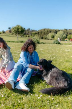 Aile, köpekleriyle parkta piknik yapıyor.