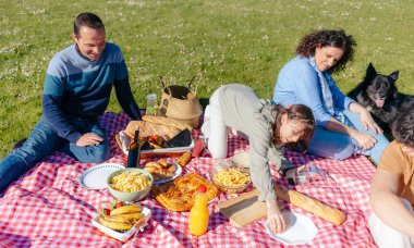 Aile güneşli çayırda köpekle pikniğin tadını çıkarıyor.