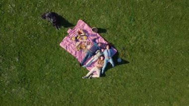 Aileleri güneşli bir parkta köpekleriyle piknik yapıyor.