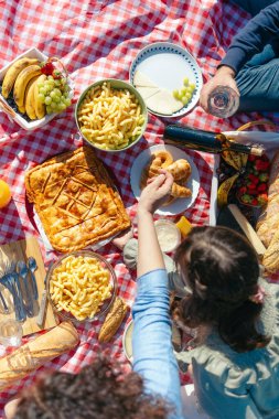 Aile çeşitli yiyecek ve içeceklerle pikniğin tadını çıkarıyor.