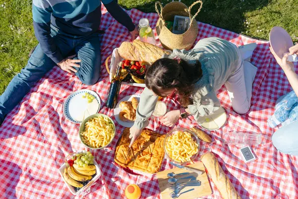 Aile, tuzlu turta ve kareli battaniyeyle pikniğin tadını çıkarıyor.