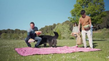 Aile üyeleri piknik için evcil köpeklerle parkta piknik yapmak için sepetlerden battaniyeye yiyecek ve içecekleri boşaltıyor.
