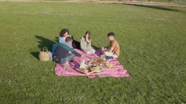 Ailesi köpekleriyle parkta piknik yapıyor.