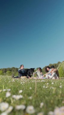 Aileleri güneşli bir parkta köpekleriyle piknik yapıyor.