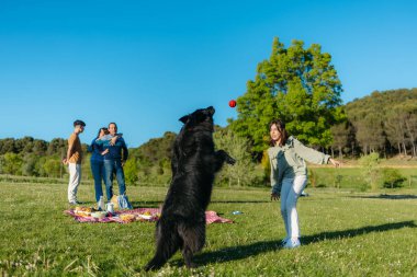 Parkta piknik yaparken köpekleriyle oynayan mutlu bir aile.