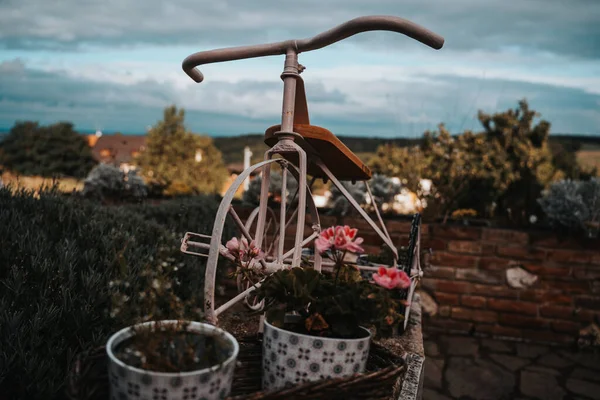有花的老式自行车 — 图库照片