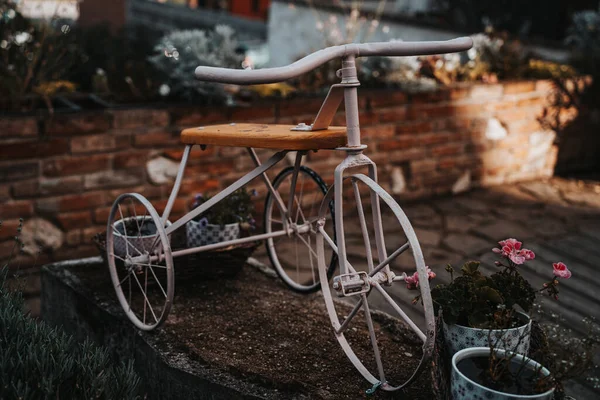 Vélo Dans Jardin — Photo