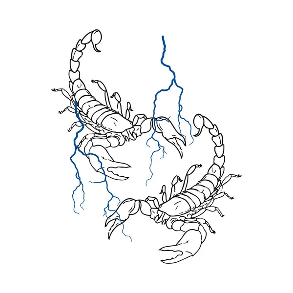 Illustrazione Vettoriale Due Concetti Scorpioni — Vettoriale Stock