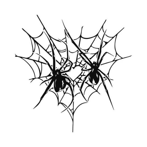 Vektorová Ilustrace Dvou Pavouků Pavučinami — Stockový vektor