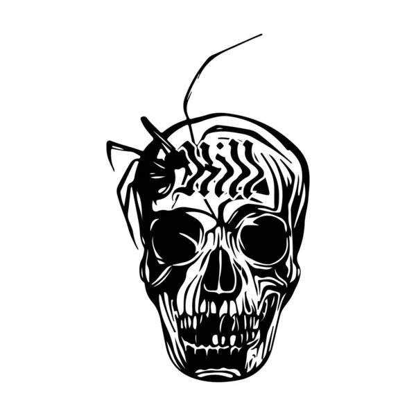 Skull Spider Illustration Vector — Stock Vector
