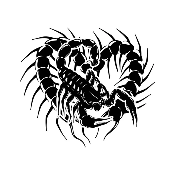 Illustrazione Vettoriale Dello Scorpione Del Centopiedi — Vettoriale Stock