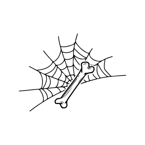 Spinnweben Und Knochen Vektor Illustration — Stockvektor