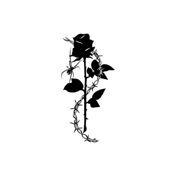 vector illustration of a rose with barbed wire