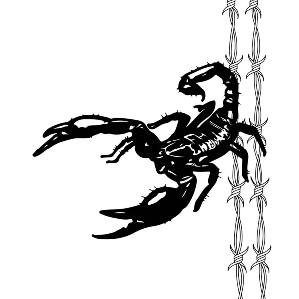 Vector Illustration Scorpion Barbed Wire — Stock Vector