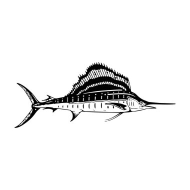 marlin balığı vektör çizim