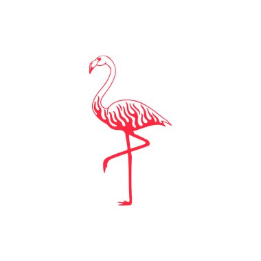 Flamingonun konseptli vektör illüstrasyonu