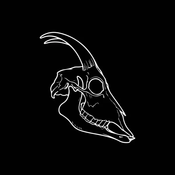 Illustrazione Vettoriale Del Cranio Animale — Vettoriale Stock