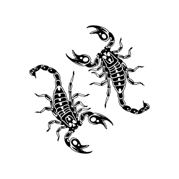 Vector Illustration Two Scorpions — Stock Vector